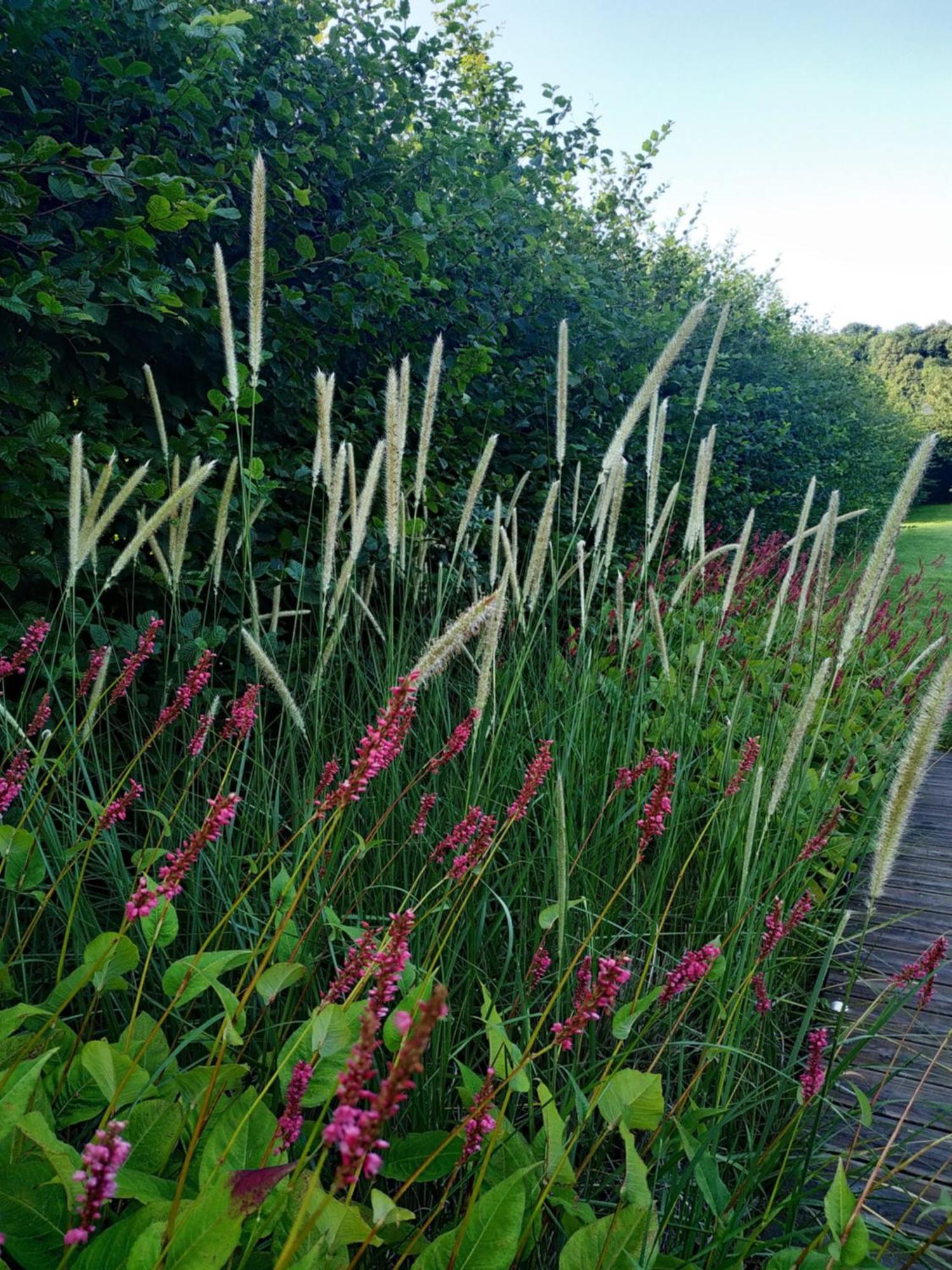 Seinebnb - Gite A La Campagne - Honfleur Conteville  ภายนอก รูปภาพ