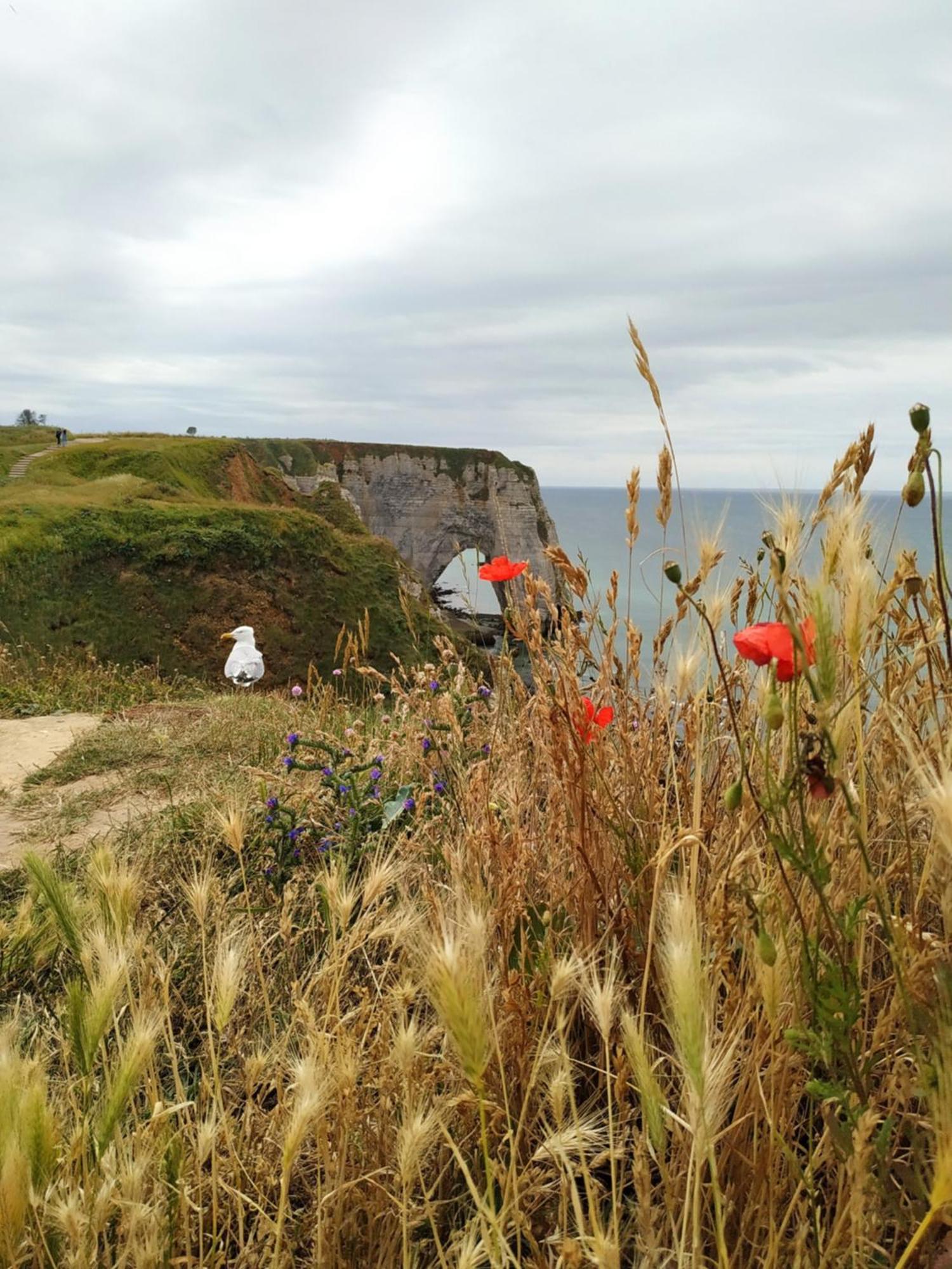 Seinebnb - Gite A La Campagne - Honfleur Conteville  ห้อง รูปภาพ